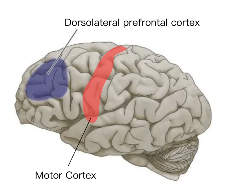 Precise activation of specific brain area